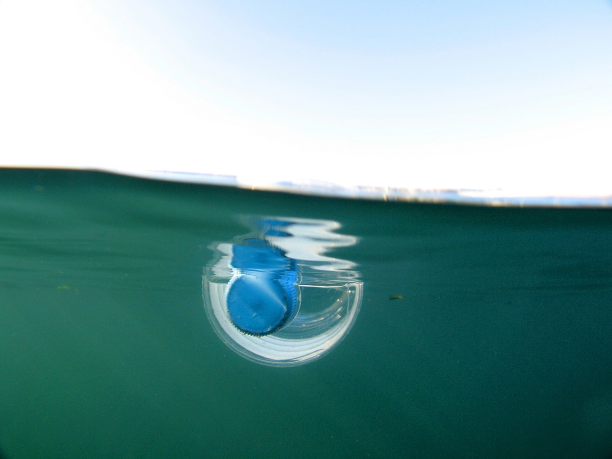 mineral water bottle floating in the Sydney Harbour.